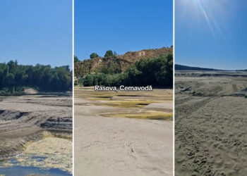imagini-dramatice-pe-cursul-dunarii,-in-apropiere-de-cernavoda,-unde-s-au-format-adevarate-dune-de-nisip.-trebuia-facuta-decolmatare