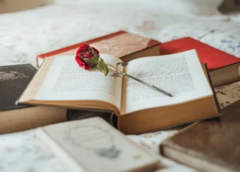 literatura-clasica-a-devenit,-cumva,-perimata?-–-gazeta-de-sud