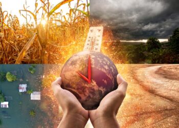 daea-avertizeaza:-seceta-va-scumpi-alimentele-din-toamna