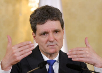 nicusor-dan-readuce-aderarea-la-euro-in-prim-plan-dupa-decizia-moodys:-exista-un-acord-de-principiu-intre-partide