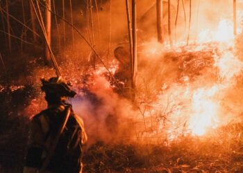 mae,-atentionare-de-calatorie-in-spania:-cod-rosu-de-incendii-de-vegetatie-in-valencia