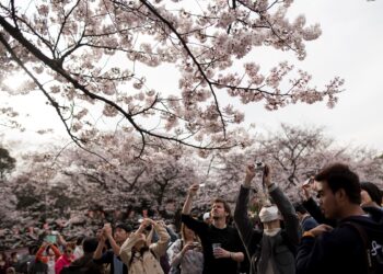 japonia-inaspreste-regulile-pentru-rusi-dupa-ce-numarul-vizitatorilor-a-crescut-de-53-de-ori-in-ultimii-ani-–-hotnews.ro