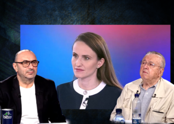ion-cristoiu-critica-activitatea-oanei-toiu-la-mae