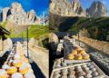 gogoasa-de-3-euro-pentru-care-turistii-stau-la-coada-la-2300-de-metri.-ce-are-atat-de-special