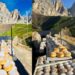 gogoasa-de-3-euro-pentru-care-turistii-stau-la-coada-la-2300-de-metri.-ce-are-atat-de-special