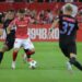 s-a-stabilit-unde-se-joaca-dinamo-–-fcsb-ce-pregateste-clubul-gazda