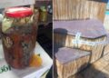 cat-costa-sezlongurile-murdare-pe-litoral:-comisarii-anpc-au-dat-amenzi-de-peste-2000.000-de-lei
