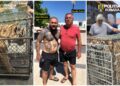 descinderi-la-o-gradina-zoologica-din-dambovita,-care-functioneaza-ilegal-de-ani-de-zile-tigri-si-un-pui-de-leu-mort-in-congelator.-proprietarul,-executor-judecatoresc,-are-trei-dosare-penale-la-activ-si-legaturi-cu-dani-mocanu