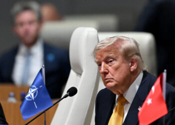statele-nato-din-europa-de-est-se-dau-bine-pe-langa-trump.-i-au-pregatit-liderului-sua-o-oferta-financiara
