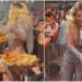loredana-groza-a-impartit-merdenele-publicului,-la-un-festival-din-bucuresti.-fanii-au-fost-in-delir