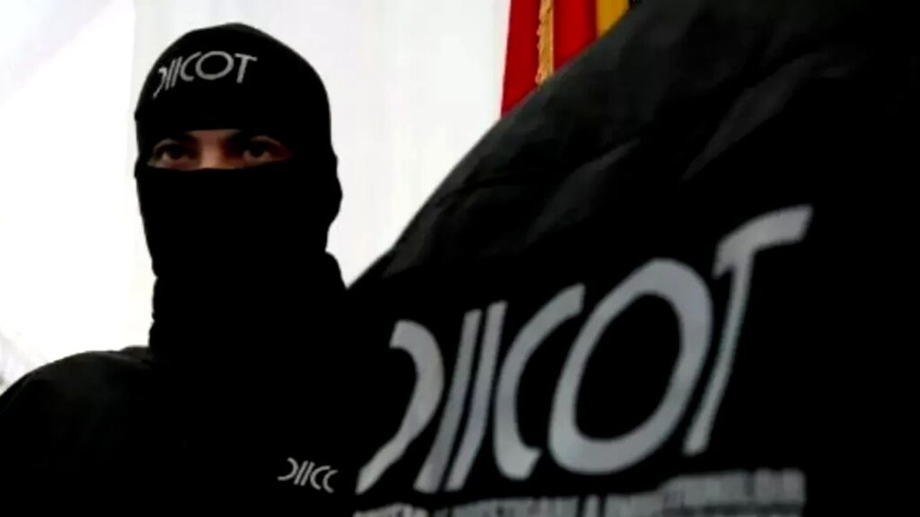 diicot-a-destructurat-o-retea-de-stupefiante-la-timisoara-si-a-capturat-1,7-tone-de-droguri.-liderul-gruparii-actiona-la-ordinele-mafiei-albaneze