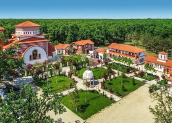 moastele-sfantului-vasile-cel-mare-vin-in-romania