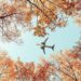 septembrie-a-devenit-noua-luna-preferata-pentru-vacante.-preturile-la-biletele-de-avion-scad-cu-64%-la-inceputul-toamnei