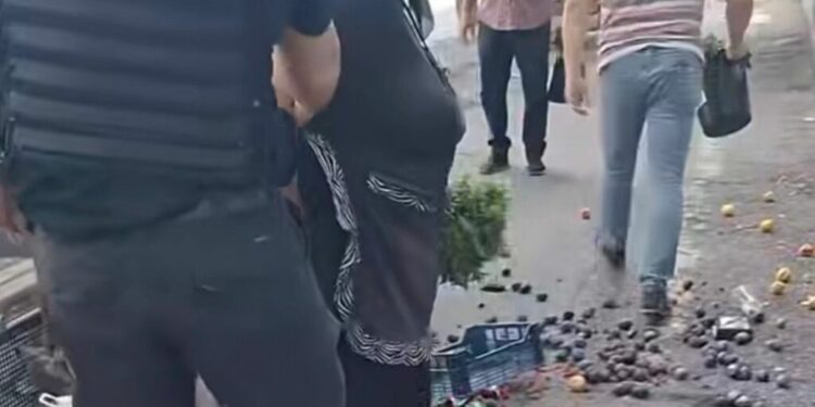 reactia-primarului-sectorului-1-dupa-incidentul-cu-politistul-local-si-femeia-care-vindea-produse-pe-strada:-condamn-ferm