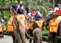 experientele-turistice-populare-pe-care-ar-trebui-sa-le-eviti-in-vacanta.-ce-abuzuri-se-ascund-in-spatele-atractiilor