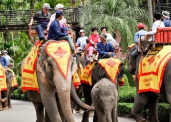 experientele-turistice-populare-pe-care-ar-trebui-sa-le-eviti-in-vacanta.-ce-abuzuri-se-ascund-in-spatele-atractiilor