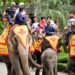 experientele-turistice-populare-pe-care-ar-trebui-sa-le-eviti-in-vacanta.-ce-abuzuri-se-ascund-in-spatele-atractiilor