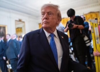 casa-alba-a-lansat-o-serie-de-jocuri-inspirate-de-politicile-lui-trump:-ridica-zidul-deporteaza-alimenteaza-un-cont-trump-–-hotnews.ro