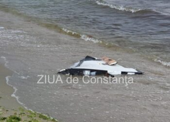 un-fragment-de-drona-a-fost-descoperit-pe-plaja-neversea-din-constanta