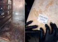 saltele-murdare-si-mizerie-crunta-generala:-anpc-a-pus-lacatul-pe-cinci-hoteluri-din-statiunea-saturn