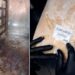saltele-murdare-si-mizerie-crunta-generala:-anpc-a-pus-lacatul-pe-cinci-hoteluri-din-statiunea-saturn
