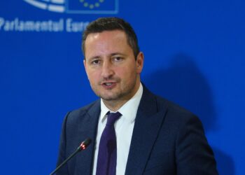 repetati-asta-cu-romania-in-minte-apelul-facut-de-un-vicepresedinte-al-parlamentului-european,-dupa-victoria-afd-din-germania-–-hotnews.ro