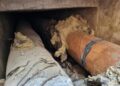 ciucu-trimite-corpul-de-control-la-termoenergetica-ce-informatii-spune-primarul-ca-a-primit-–-hotnews.ro