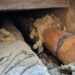 ciucu-trimite-corpul-de-control-la-termoenergetica-ce-informatii-spune-primarul-ca-a-primit-–-hotnews.ro