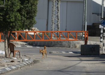 mai-multe-tari-au-anuntat-ca-vor-interzice-comertul-cu-unele-produse-israeliene.-pozitia-romaniei