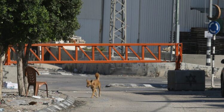 mai-multe-tari-au-anuntat-ca-vor-interzice-comertul-cu-unele-produse-israeliene.-pozitia-romaniei