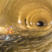 cel-mai-lung-tunel-de-autostrada-in-lucru-din-romania-a-fost-sapat-in-totalitate-cand-va-fi-gata-–-hotnews.ro