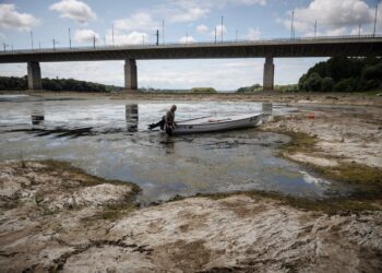 acesta-va-fi-noul-normal-un-expert-european-de-mediu-explica-paradoxul-climatic-din-zona-dunarii:-cantitatea-anuala-de-precipitatii-e-constanta,-dar-fluviul-seaca-–-hotnews.ro