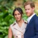 fratele-printesei-diana,-despre-harry-si-meghan:-nu-sunt-aici-sa-vorbesc-in-numele-lor,-dar-avertizeaza-ca-vede-ecouri-ale-cazului-dianei-–-hotnews.ro