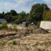 vesti-noi-despre-stadionul-din-romania-transformat-in-jungla-urbana:-e-ca-la-cazinoul-constanta!-+-creste-contributia-de-la-bugetul-local