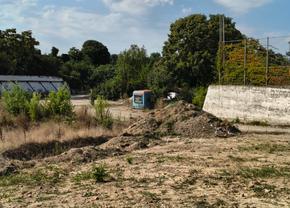 vesti-noi-despre-stadionul-din-romania-transformat-in-jungla-urbana:-e-ca-la-cazinoul-constanta!-+-creste-contributia-de-la-bugetul-local