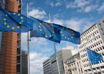 ue-interzice-din-noiembrie-exporturile-de-deseuri-din-plastic-catre-tarile-non-ocde.-comisia-europeana-publica-lista-statelor-care-cer-exceptii-pentru-alte-deseuri