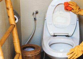 cum-sa-cureti-corect-toaleta