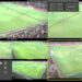 cca-a-facut-publice-imaginile-care-nu-s-au-vazut-la-tv!-verdictul-in-cele-doua-faze-controversate-din-superliga