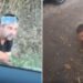 viceprimarul-din-pogaceaua,-stefan-laurentiu,-filmat-beat-in-sant