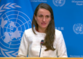 oana-toiu:-sustinem-un-armistitiu-care-sa-protejeze-infrastructura-si-rutele-de-transport-in-marea-neagra