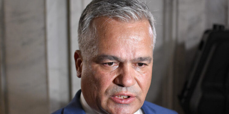 adrian-vestea-cere-alegeri-in-toate-filialele-pnl:-si-ceilalti-care-au-alte-voci-trebuie-sa-se-poata-manifesta