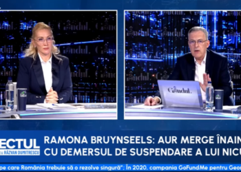 ramona-bruynseels:-sorin-grindeanu-nu-isi-doreste-functia-de-premier