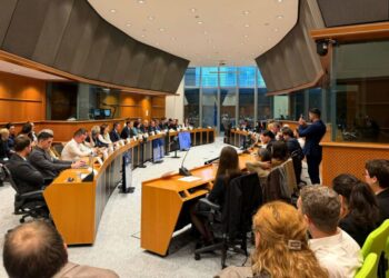 discutii-in-parlamentul-european-despre-securitatea-europei-pe-flancul-estic.-negrescu:-nu-este-suficient-sa-cumparam-echipamente