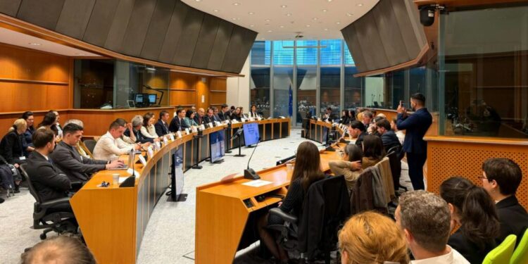 discutii-in-parlamentul-european-despre-securitatea-europei-pe-flancul-estic.-negrescu:-nu-este-suficient-sa-cumparam-echipamente