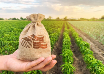 sprijin-de-pana-la-200.000-de-euro-pentru-o-anumita-categorie-de-fermieri