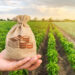 sprijin-de-pana-la-200.000-de-euro-pentru-o-anumita-categorie-de-fermieri