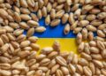 romania-si-polonia-spun-ca-nu-mai-pot-ajuta-ucraina-sa-si-exporte-cerealele:-interesul-pentru-propriii-nostri-fermieri-ramane-o-prioritate-–-hotnews.ro