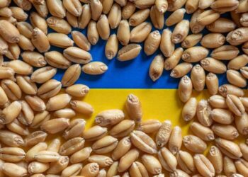 romania-si-polonia-spun-ca-nu-mai-pot-ajuta-ucraina-sa-si-exporte-cerealele:-interesul-pentru-propriii-nostri-fermieri-ramane-o-prioritate-–-hotnews.ro