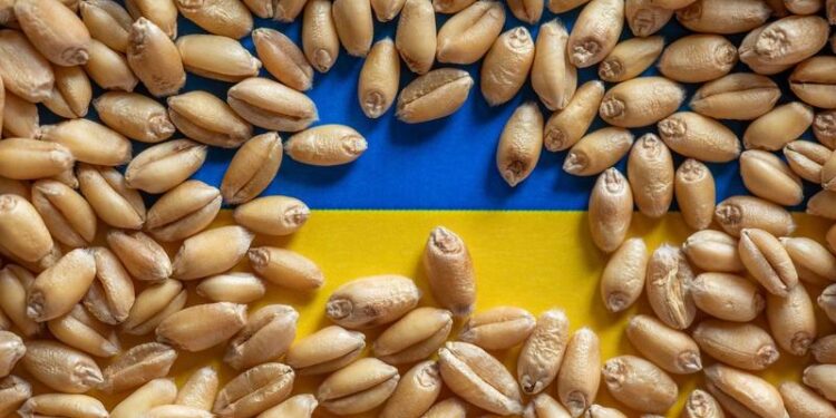 romania-si-polonia-spun-ca-nu-mai-pot-ajuta-ucraina-sa-si-exporte-cerealele:-interesul-pentru-propriii-nostri-fermieri-ramane-o-prioritate-–-hotnews.ro