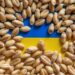 romania-si-polonia-spun-ca-nu-mai-pot-ajuta-ucraina-sa-si-exporte-cerealele:-interesul-pentru-propriii-nostri-fermieri-ramane-o-prioritate-–-hotnews.ro
